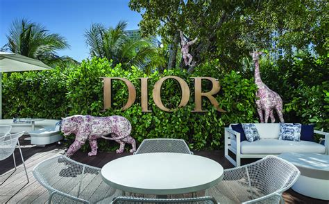 dior cage|dior cafe miami fl.